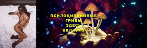бошки Алексин