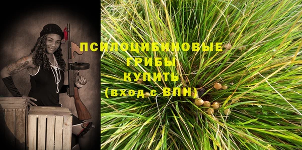 бошки Алексин